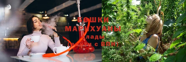 ешки Новозыбков